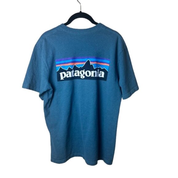 PATAGONIA Teal Regular Fit Classic Logo Tee T Shirt Size Small - Picture 1 of 7